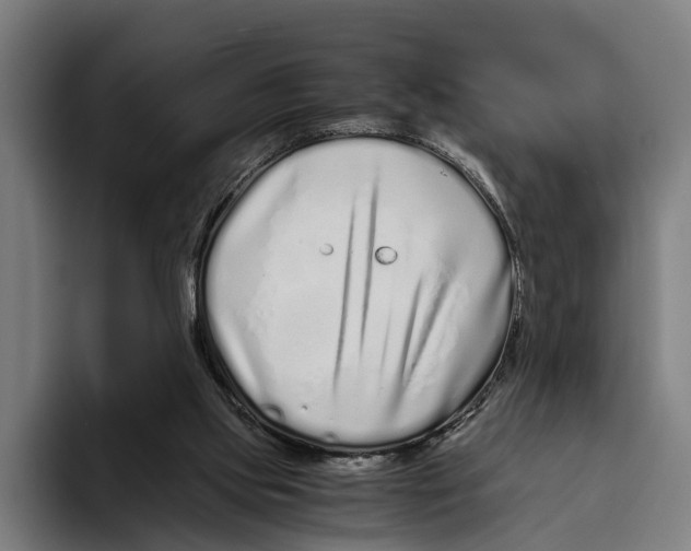 X0000094080061200711161615