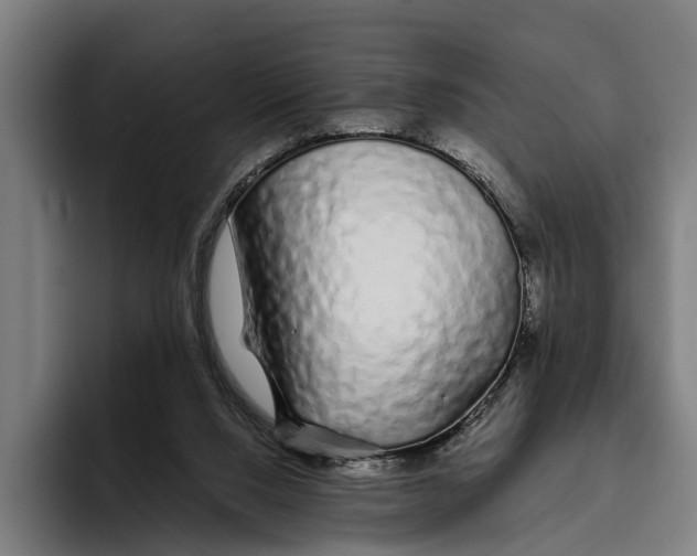 X0000094080064200711161615
