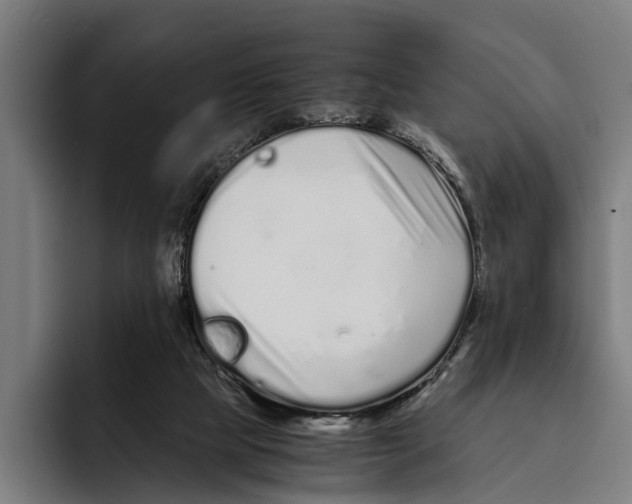 X0000094080065200711161615