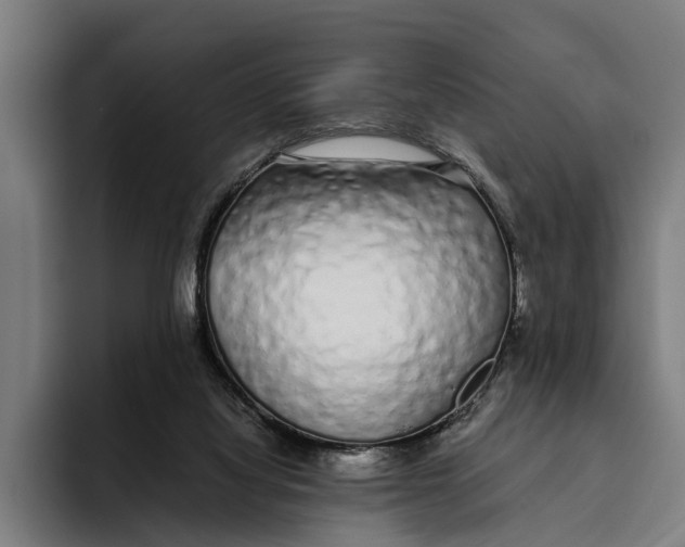 X0000094080068200711161615