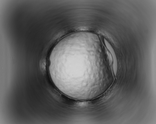 X0000094080072200711161616