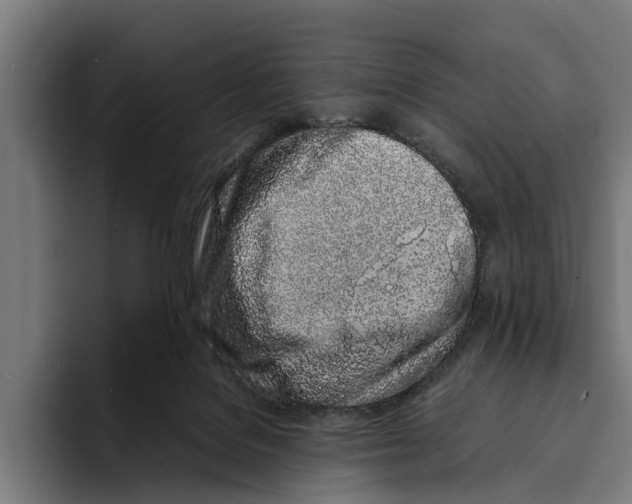 X0000094080076200711161616
