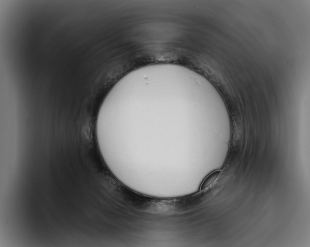 X0000094080078200711161616