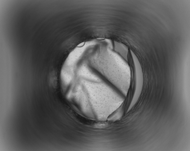 X0000094080080200711161616