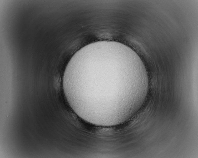 X0000094080081200711161616