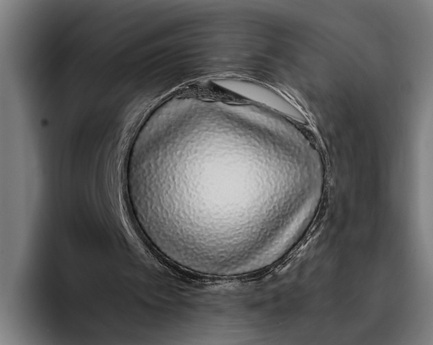 X0000094080097200711161615