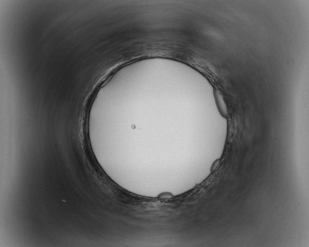 X0000094080098200711161615