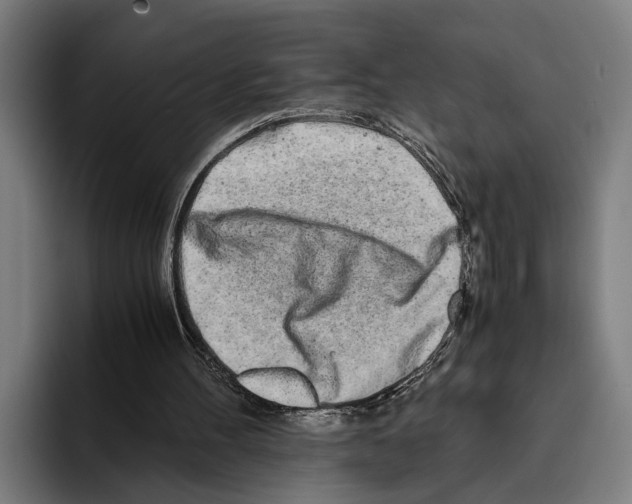X0000094080100200711161615