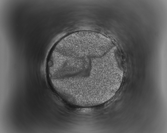 X0000094080104200711161615