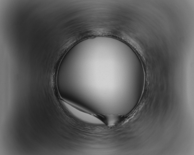 X0000094080105200711161615