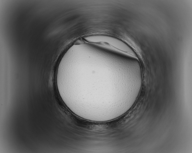 X0000094080107200711161615