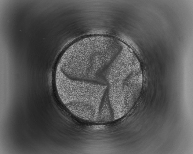 X0000094080108200711161615