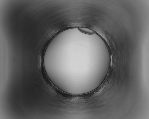 X0000094080109200711161615