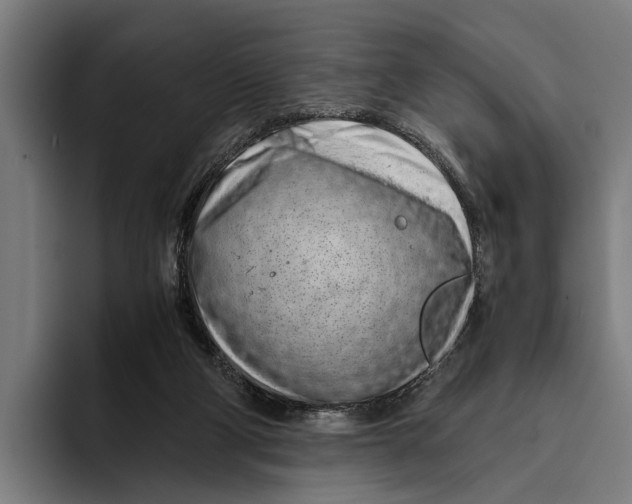 X0000094080114200711161615