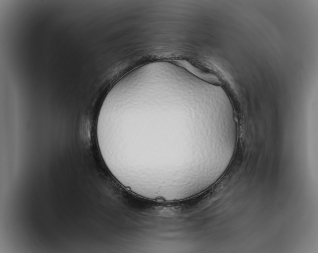 X0000094080115200711161615