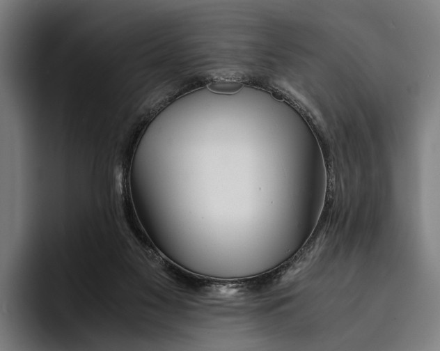 X0000094080117200711161615