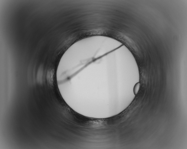X0000094080118200711161615