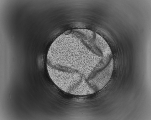 X0000094080120200711161615