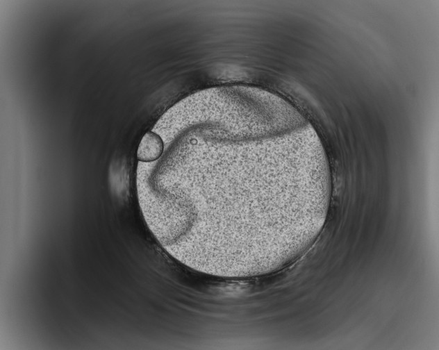 X0000094080124200711161615