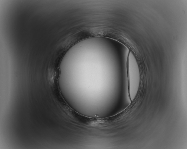 X0000094080125200711161615