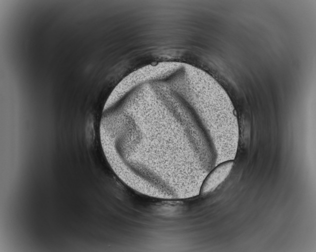 X0000094080128200711161615