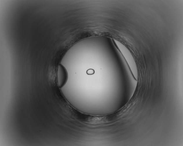 X0000094080129200711161615