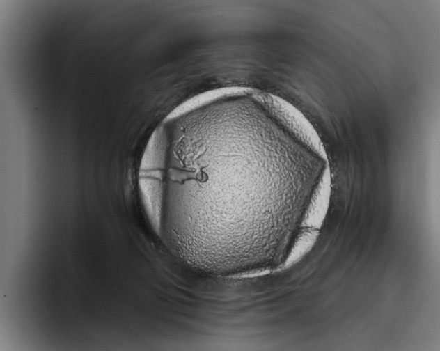 X0000094080130200711161615