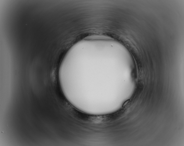 X0000094080131200711161615