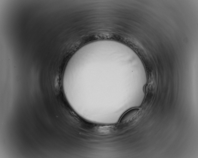 X0000094080134200711161615