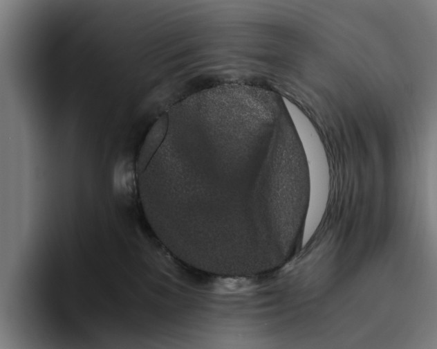 X0000094080137200711161615