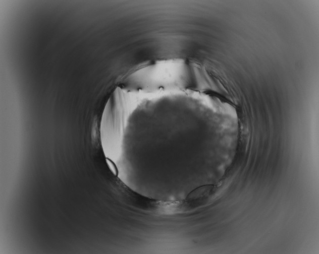 X0000094080143200711161615