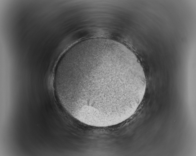 X0000094080146200711161614