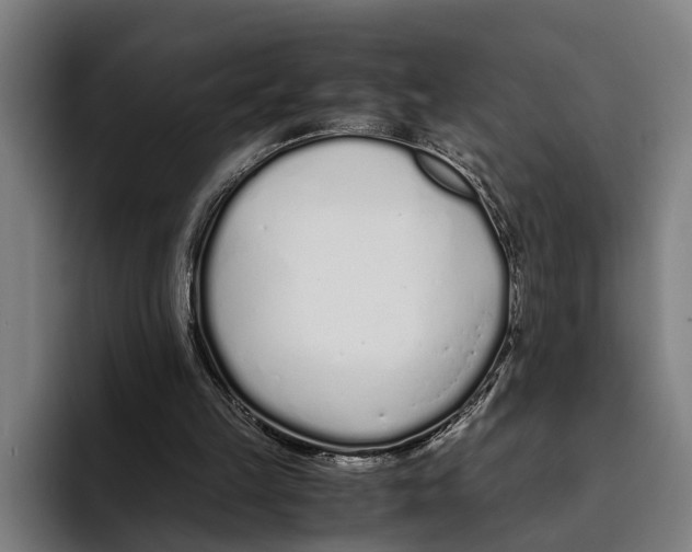 X0000094080149200711161614