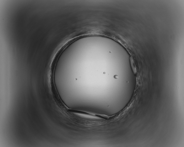X0000094080152200711161614