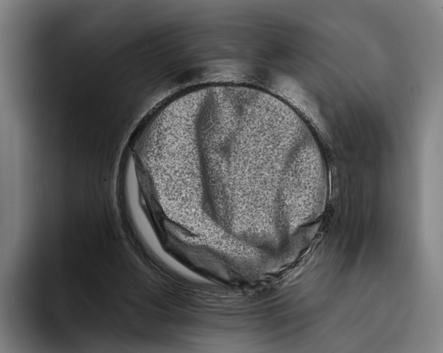 X0000094080156200711161614