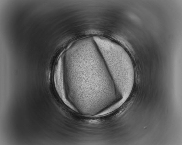 X0000094080157200711161614
