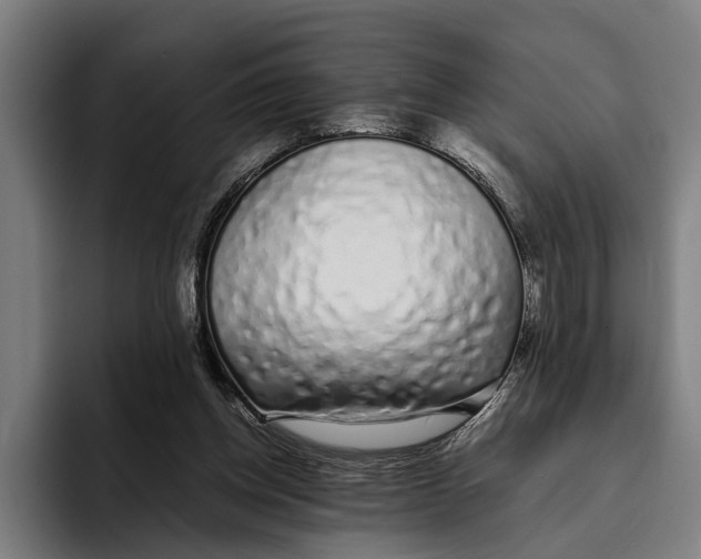 X0000094080158200711161614