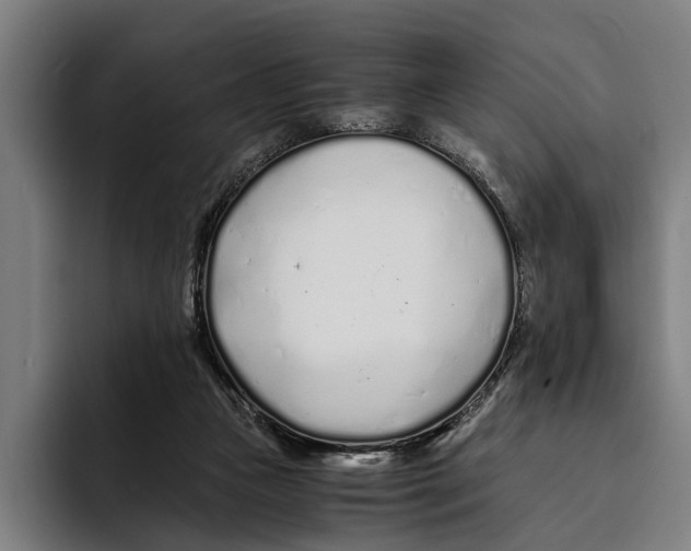 X0000094080161200711161614