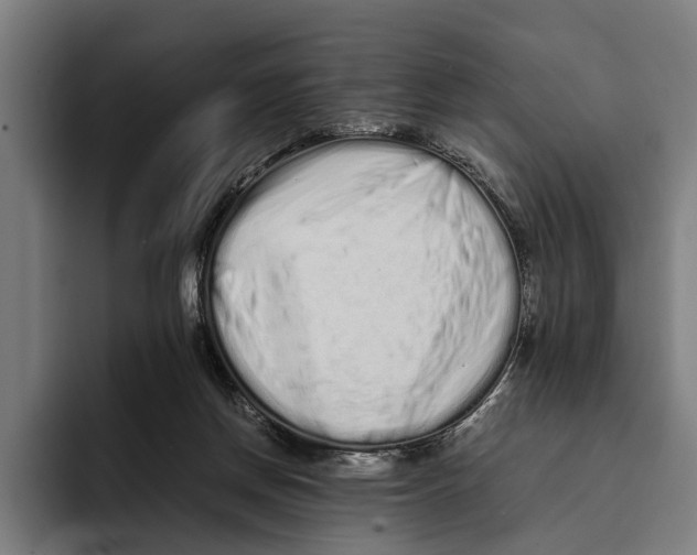 X0000094080166200711161614