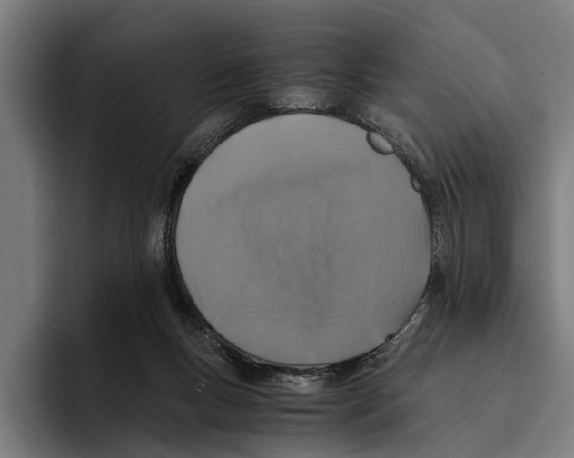X0000094080167200711161614