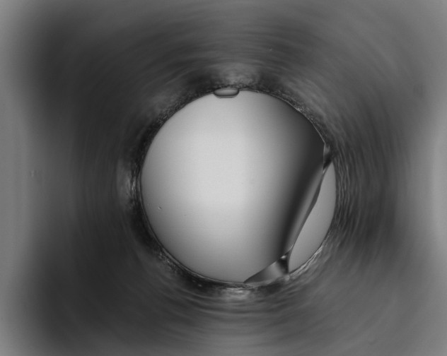 X0000094080176200711161614
