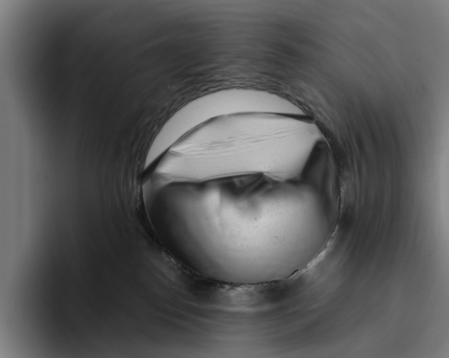 X0000094080186200711161615