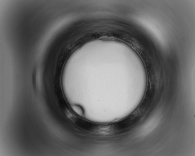 X0000094080189200711161615