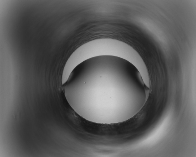 X0000094080190200711161615