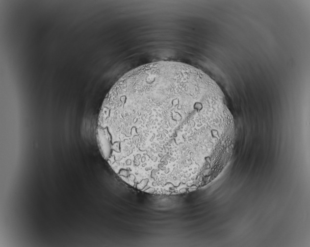 X0000094080191200711161615