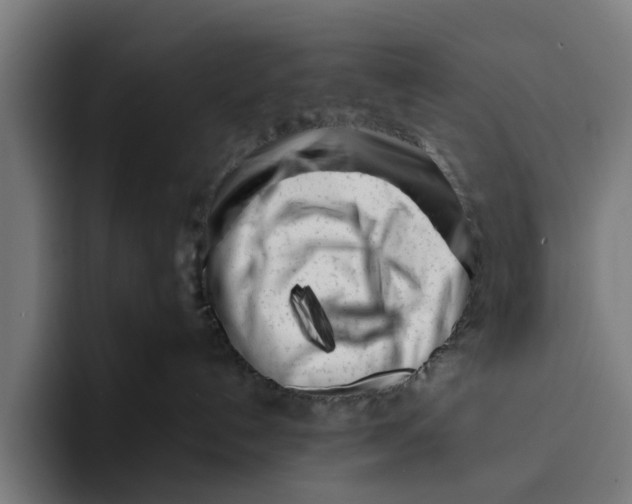X0000094080192200711161615