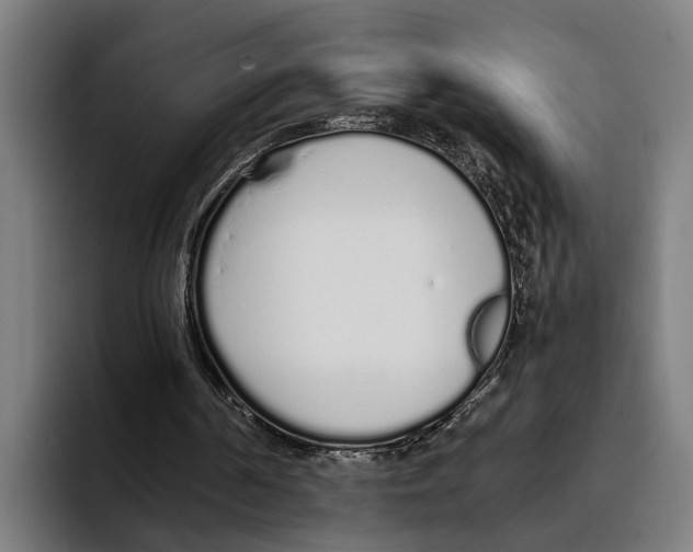 X0000094080194200711161614