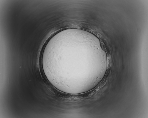 X0000094080195200711161614