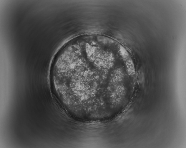 X0000094080196200711161614