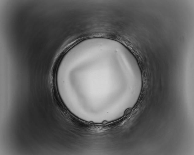 X0000094080198200711161614